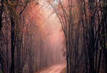 瓜迪奧拉：曼市德比搶眼 攻防轉換精彩.