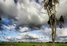 乐天堂：西班牙前鋒阿斯帕斯狠批前帥！沒B計劃！.