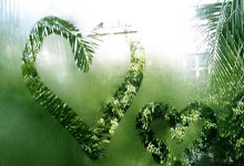 AC米兰的阵容,这里有谁?.