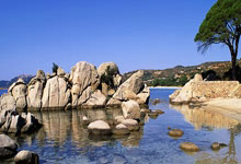 重磅政论片《解码人类文明新形态》第五集《谋和谐共生》.